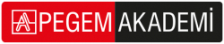 Pegem Akademi